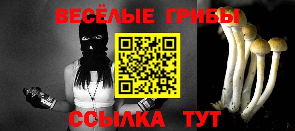 Миллерово  Псилоцибиновые грибы Psilocybine cubensis  Вход с VPN 